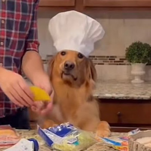 Meet your Posher, Alexa - Picture 1 of 1